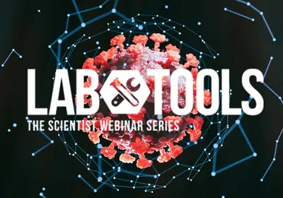 Exploring the SARS-CoV-2 Outer Cell Surface